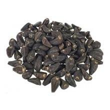 Акуамма, семена (Akuamma, Picralima Nitida seeds)